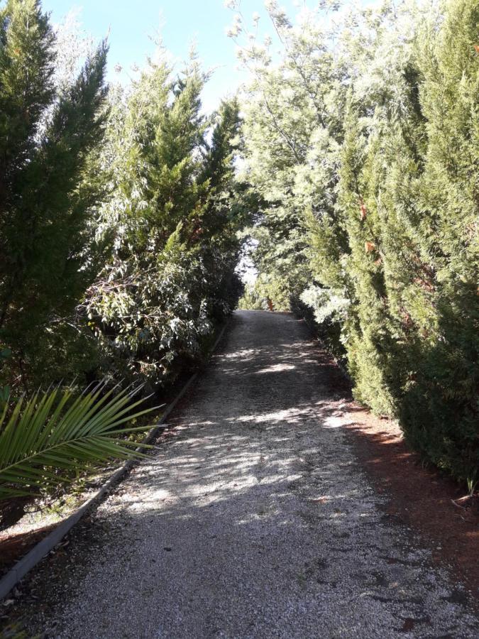 Villa "Le Mirage" Lège-Cap-Ferret Dış mekan fotoğraf